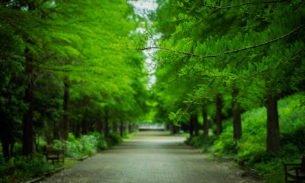 【Ochimusya Drive Tour 2】The filming location of Fullmetal Alchemist (Harima Central Park)