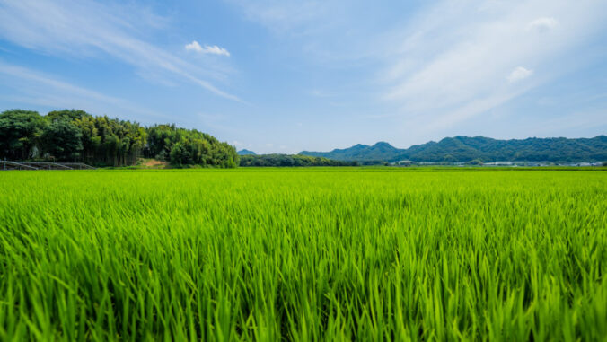 【Japan Guide】Banshu – Japan’s Unspoiled Traditional Towns in Hyogo ...
